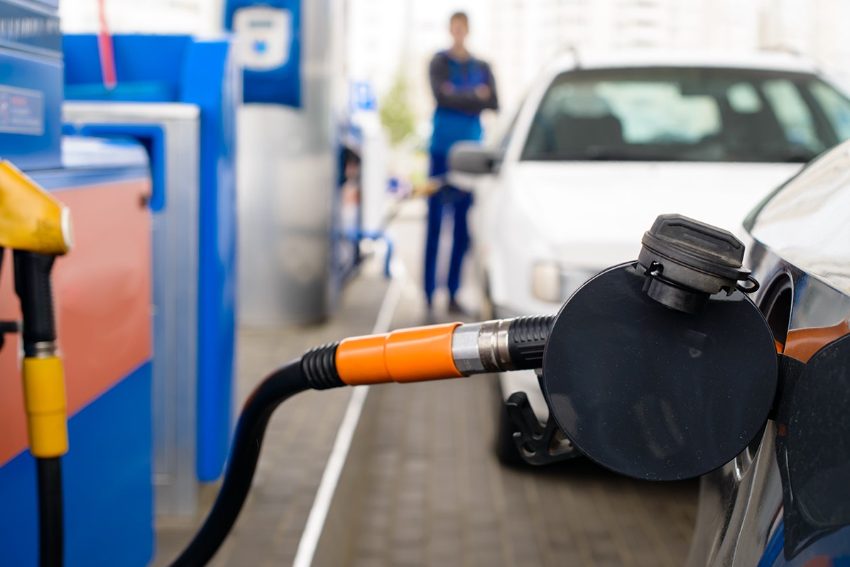 Маркетинговая проработка и внедрение до прироста клиентов Маркетинговая проработка и внедрение до прироста клиентов