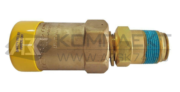 Клапан предохранительный Rego RS 3132 + CD32